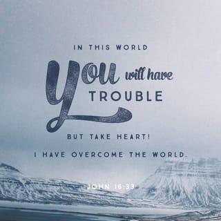 John 16:33 - I have said these things to you, that in me you may have peace. In the world you will have tribulation. But take heart; I have overcome the world.”
