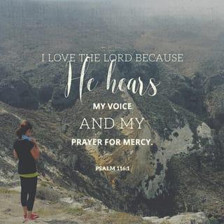 Psalms 116:1 - I love the LORD, for he heard my voice;
he heard my cry for mercy.