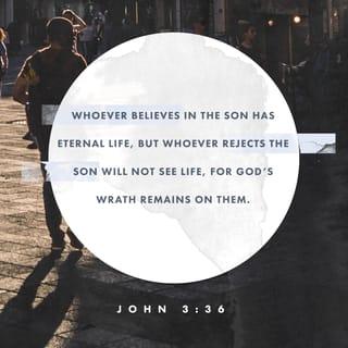 John 3:35-36 - The Father loves the Son and has given all things into his hand. Whoever believes in the Son has eternal life; whoever does not obey the Son shall not see life, but the wrath of God remains on him.