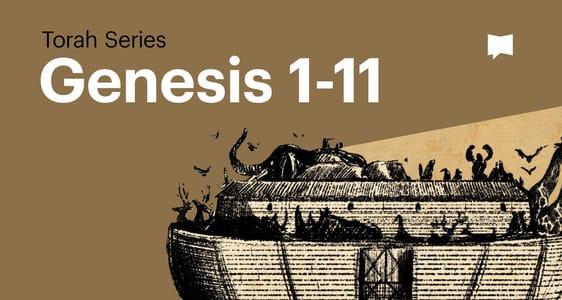 Genesis Part 1: Torah Series