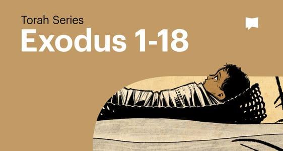 Exodus Pt. 1: Torah Series