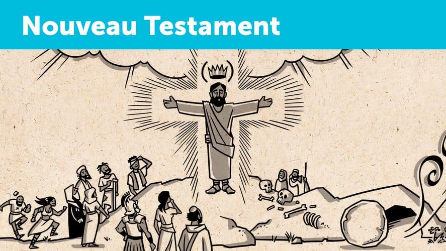 Vue d’ensemble des livres : Nouveau Testament