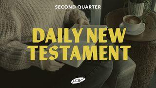 Daily New Testament - Quarter 2