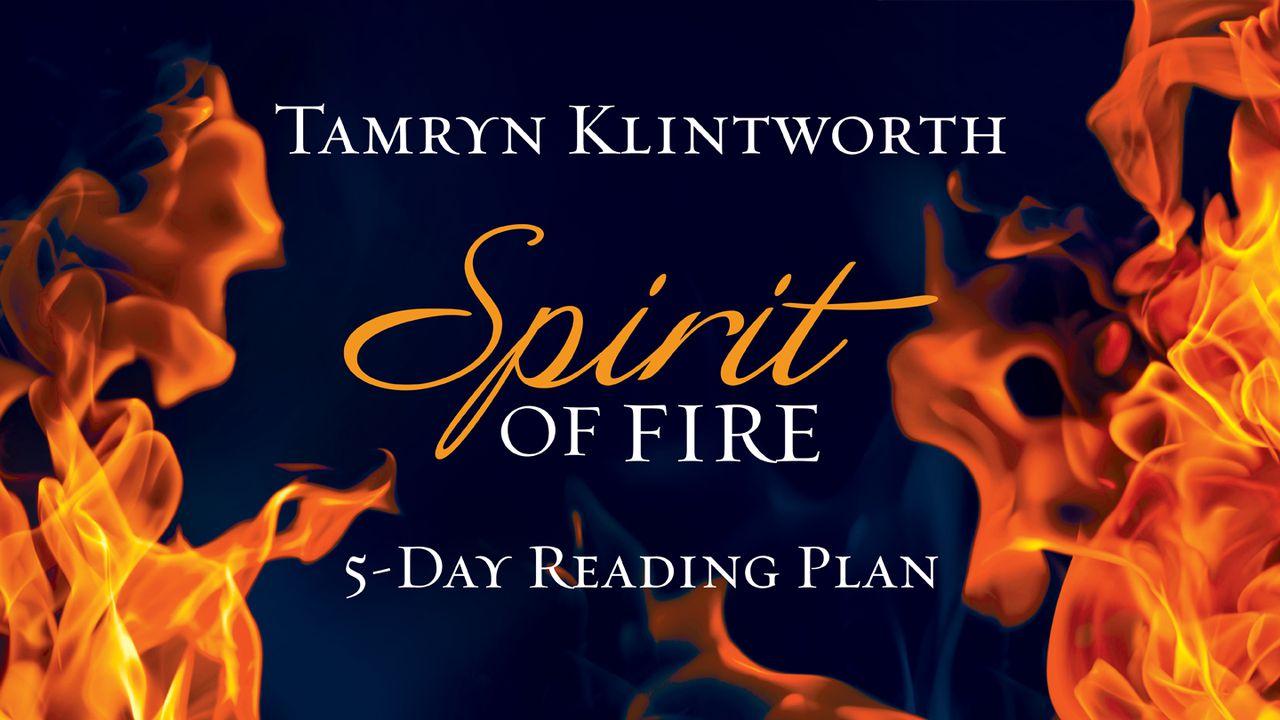 Spirit Of Fire By Tamryn Klintworth