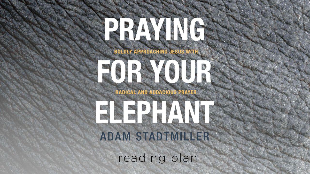Orando pelo teu elefante - Fazendo Orações Ousadas