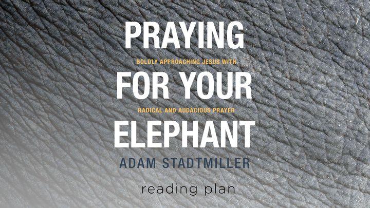 Молиться о своих слонах - молиться с дерзновением