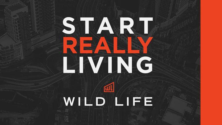 Wild Life—Začni skutečně žít