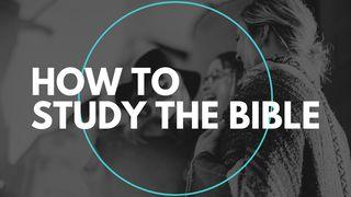 Hur man studerar Bibeln (grunderna)