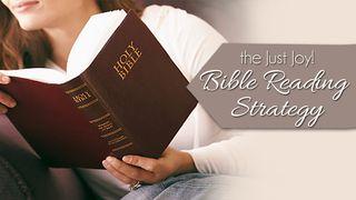 JUST JOY! Daily Bible Reading Strategy