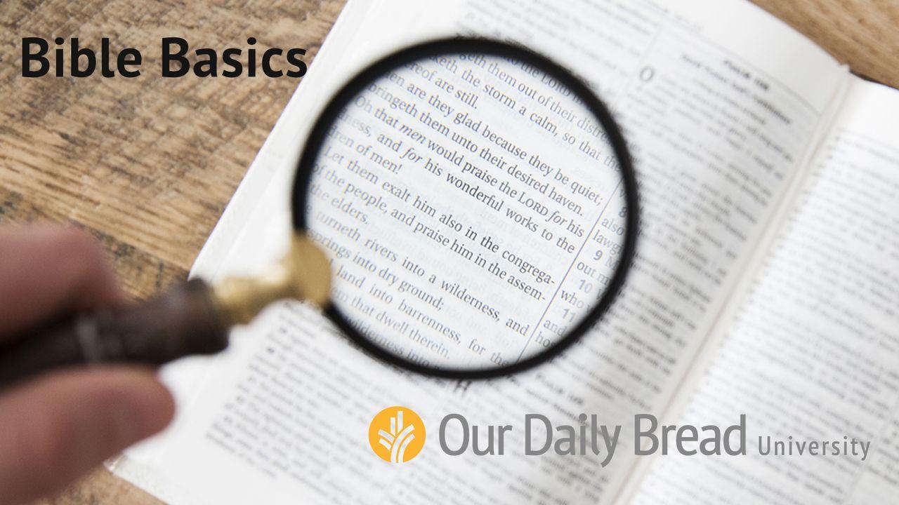 Notre pain quotidien - Les bases de la Bible
