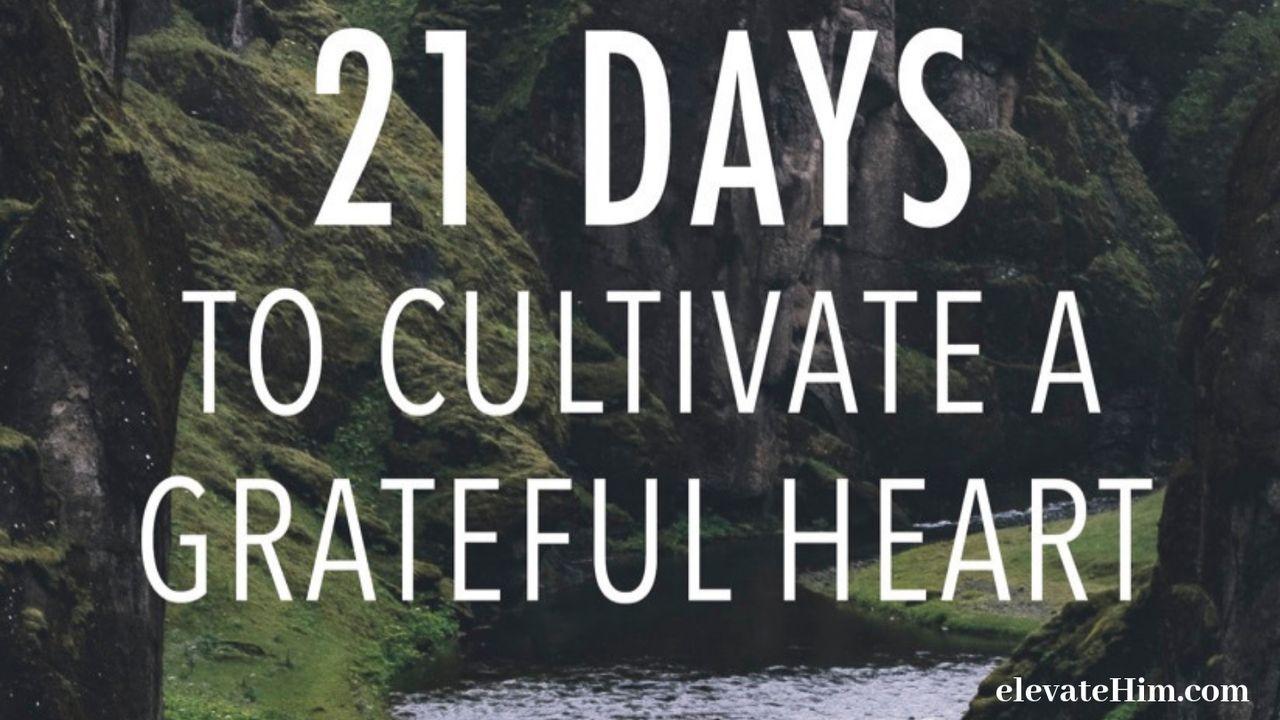 21 Days To Cultivate A Grateful Heart