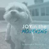 Joy In The Mourning 