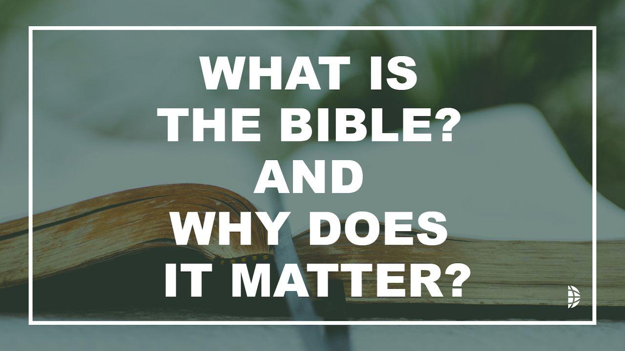 What Is The Bible, And Why Does It Matter?