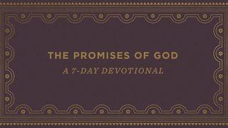 The Promises of God: A 7-Day Devotional