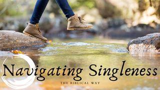 Navigating Singleness The Biblical Way