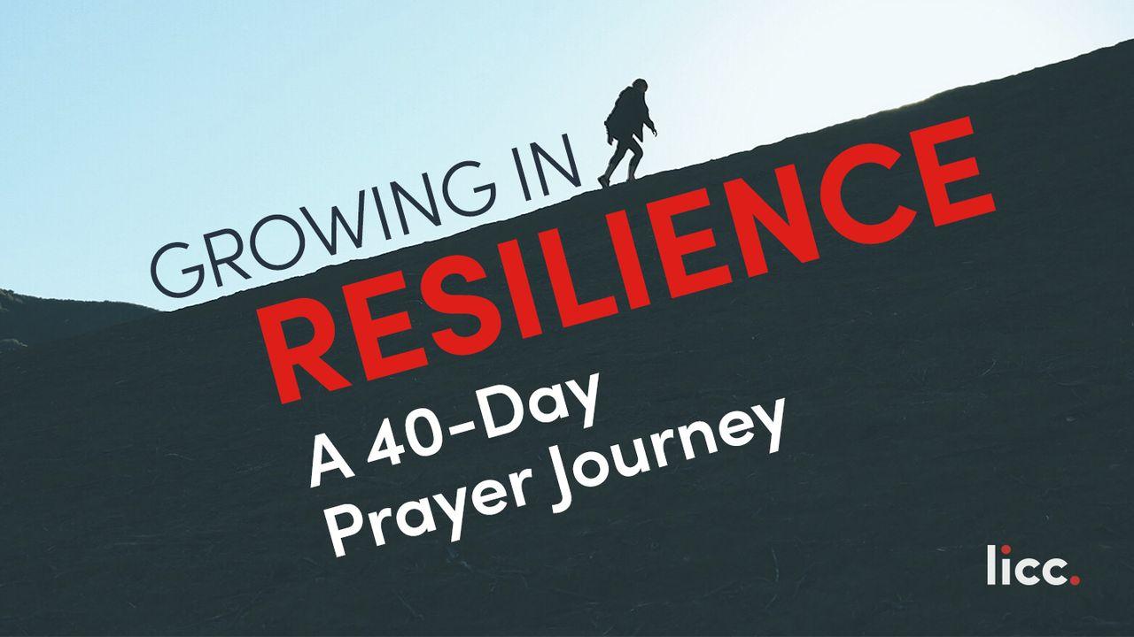 Growing In Resilience: A Prayer Journey