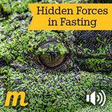 Hidden Forces in Fasting