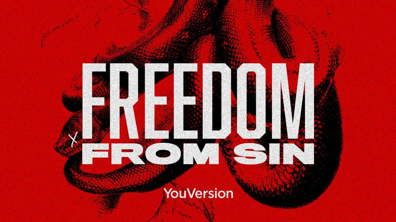 Libertad del Pecado