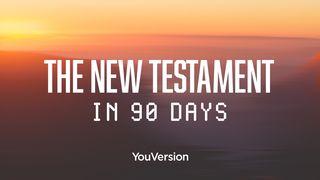 El Nuevo Testamento en 90 días