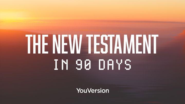 In 90 Tagen durch das Neue Testament
