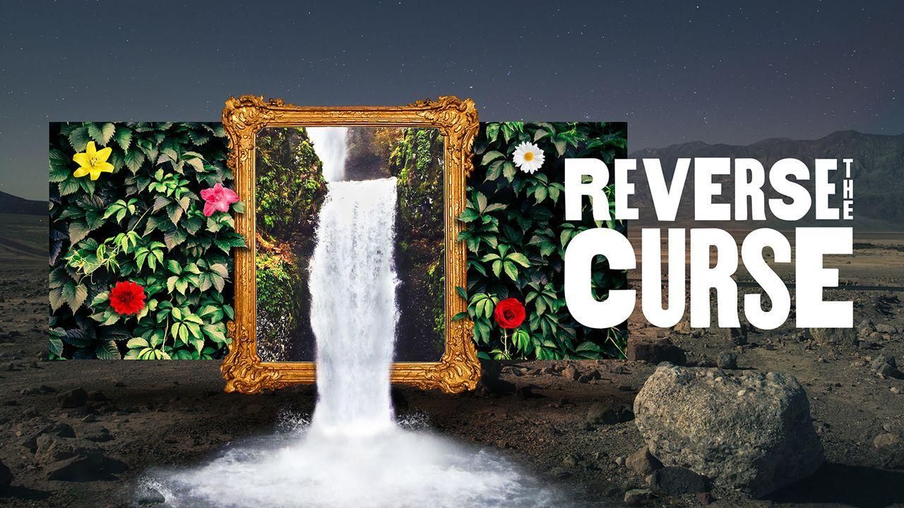 Reverse the Curse: How Jesus Moves Us From Death to Life