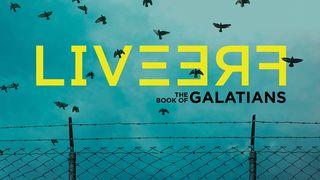 Galatians: Live Free