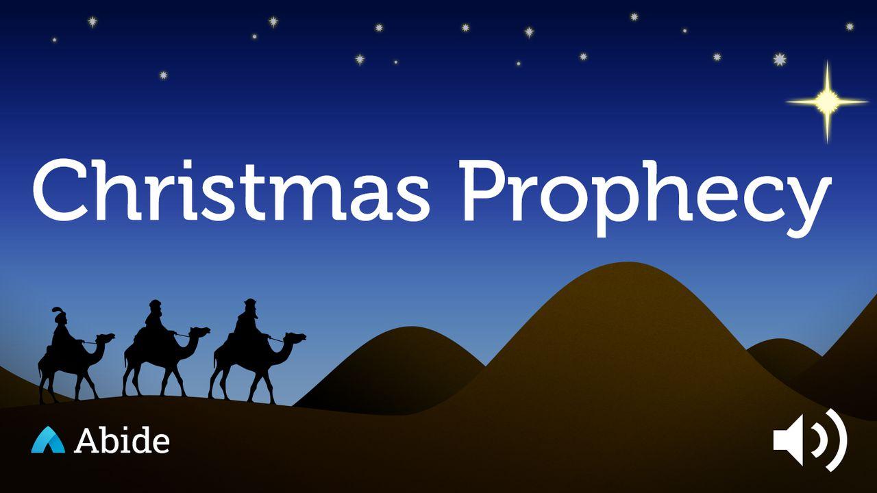 A Christmas Prophecy Devotional