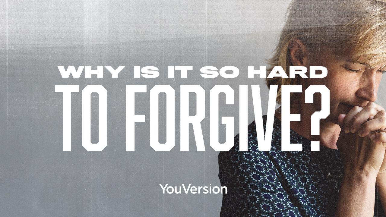 為什麼饒恕這麼難？