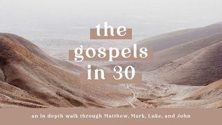 The Gospels in 30