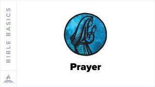 Bible Basics Explained | Prayer