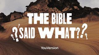 Біблія каже... ЩО?