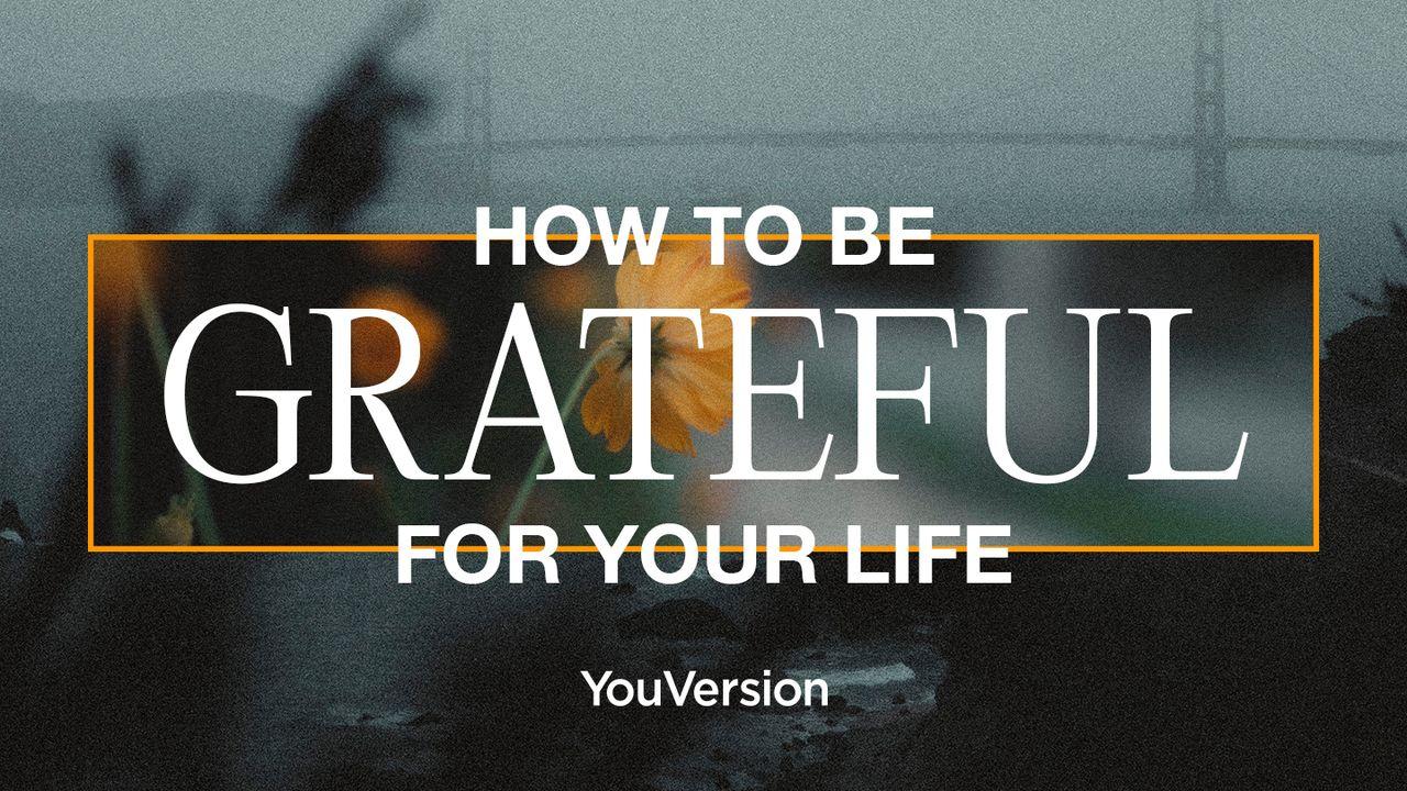 如何为你的生命心存感恩？