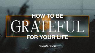Como estar agradecido por tu vida