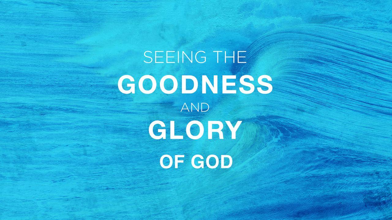 Seeing the Goodness and Glory of God