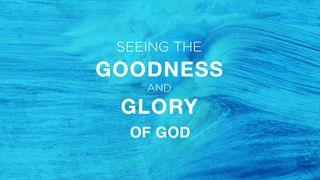 Seeing the Goodness and Glory of God