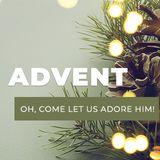 Advent - Oh, Come Let Us Adore Him!