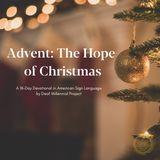 Advent: The Hope of Christmas