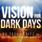 Vision for Dark Days 