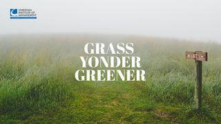 Grass Yonder Greener