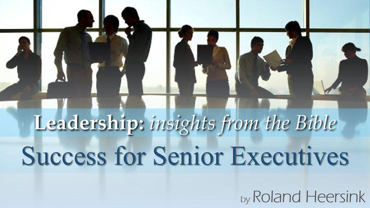 Leadership: God’s Plan of Success for Executives 