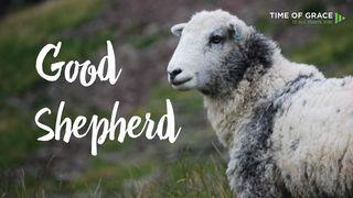 Our Good Shepherd