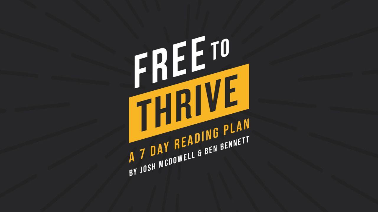 Free to Thrive: How Your Hurt, Struggles & Deepest Longings Can Lead to a Fulfilling Life