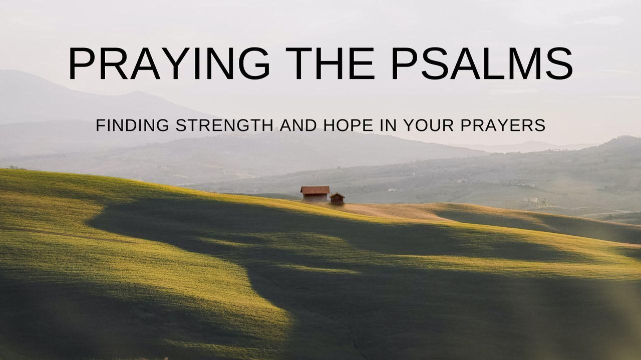 Praying the Psalms: Finding Strength & Hope in Your Prayers