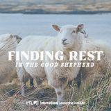 Finding Rest in the Good Shepherd