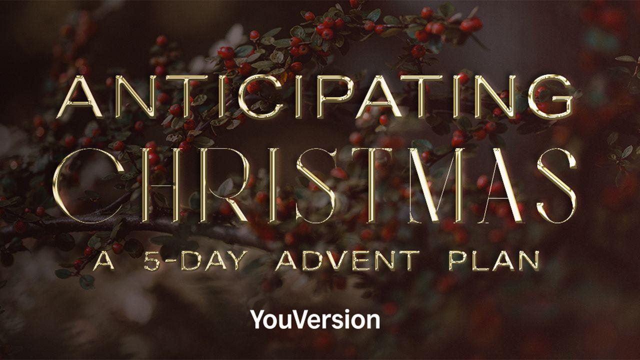 Antecipando o Natal: Um plano do Advento de 5 dias