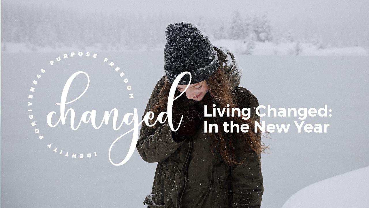 Viver Transformado: no Ano Novo