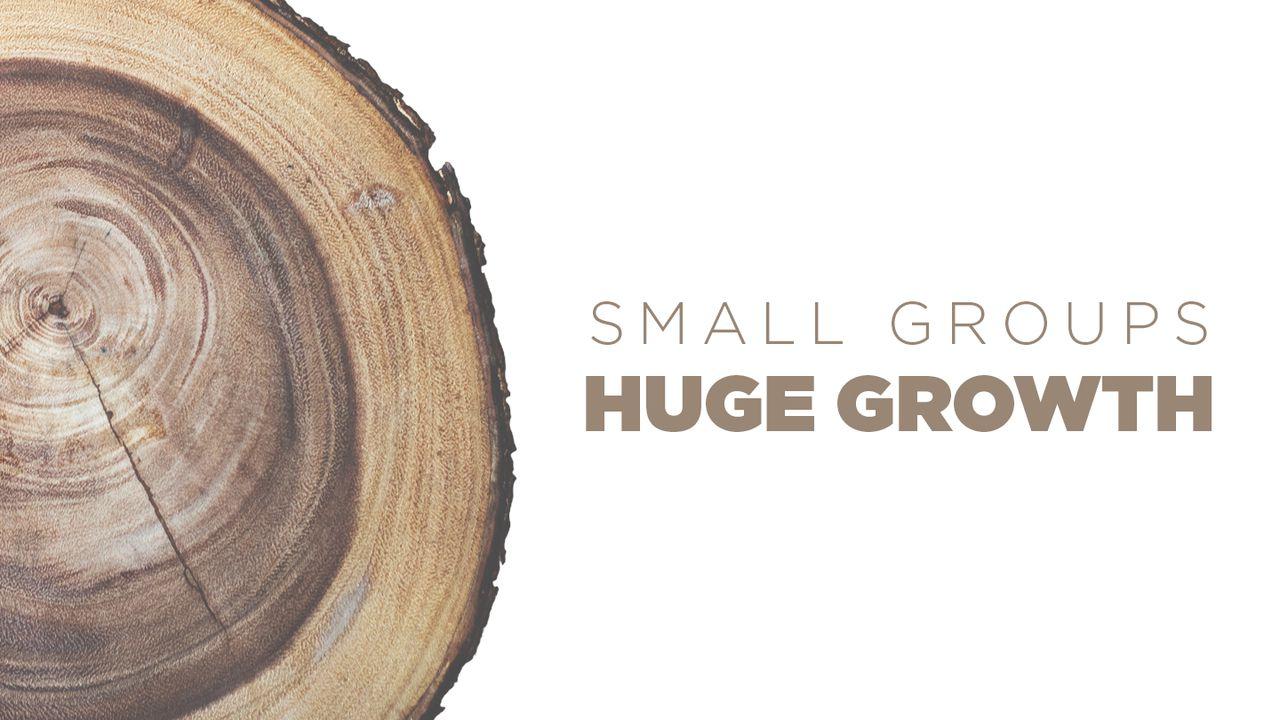 Grupos pequeños, gran crecimiento