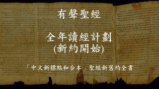 有聲聖經全年讀經計劃(新約開始) Daily Audio Bible Starting From New Testament -- Mandarin Chinese
