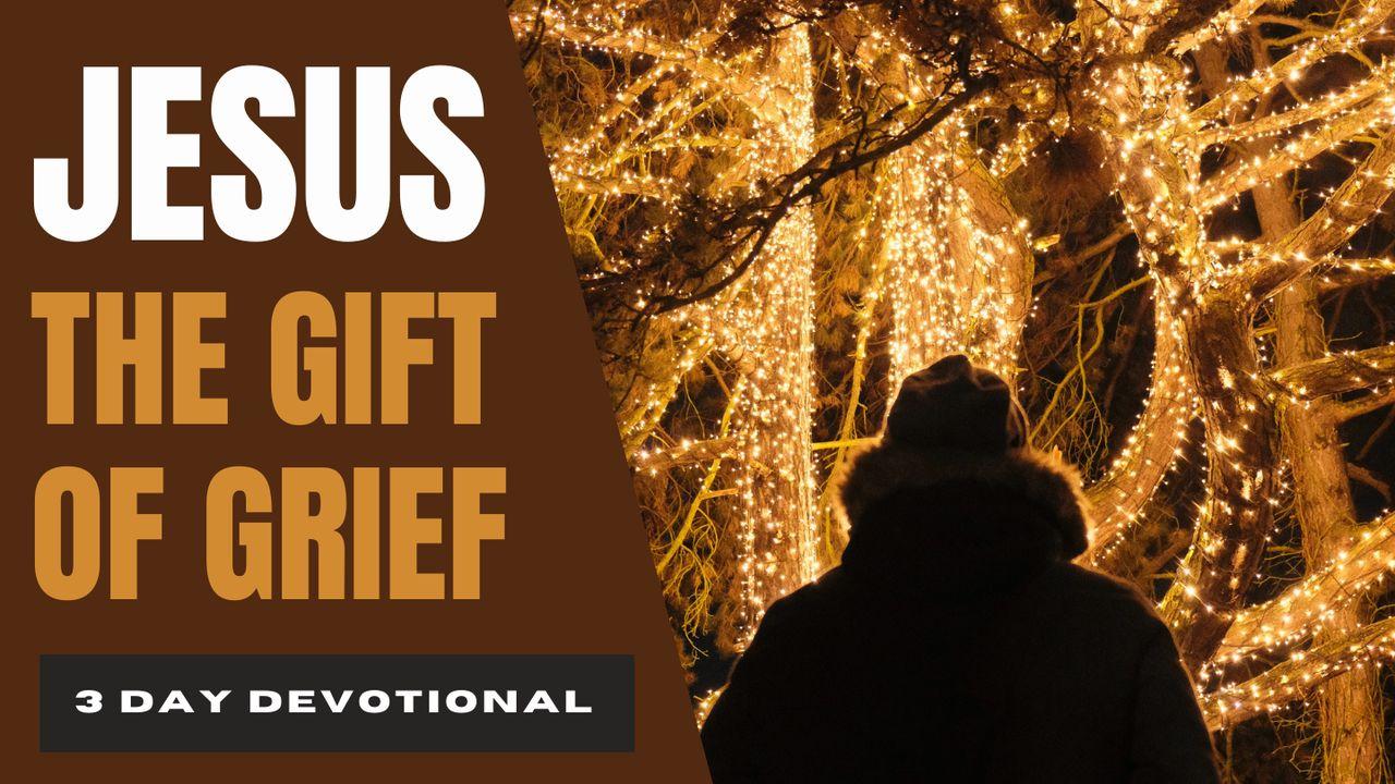 Jesus the Gift of Grief: Overcoming the Holiday Blues