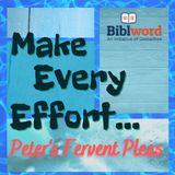 Make Every Effort: Peter's Fervent Pleas